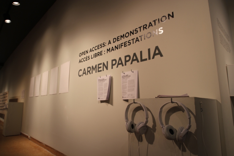 Carmen Papaia - Open Access, exhibition photograph